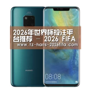 华为无线快充手机