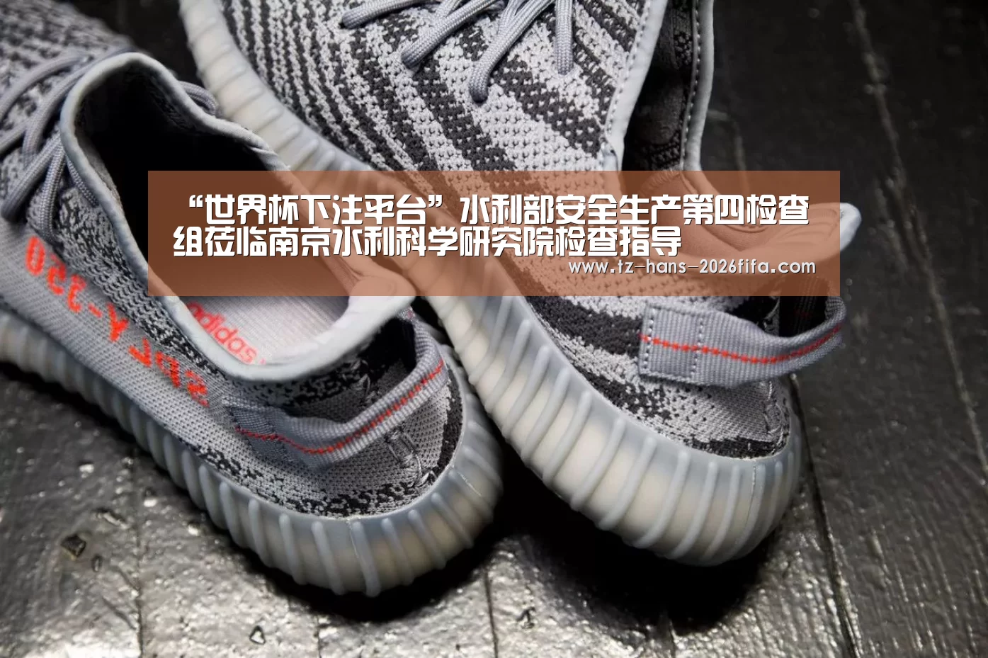 “世界杯下注平台”水利部安全生产第四检查组莅临南京水利科学研究院检查指导(图1) 世界杯投注网