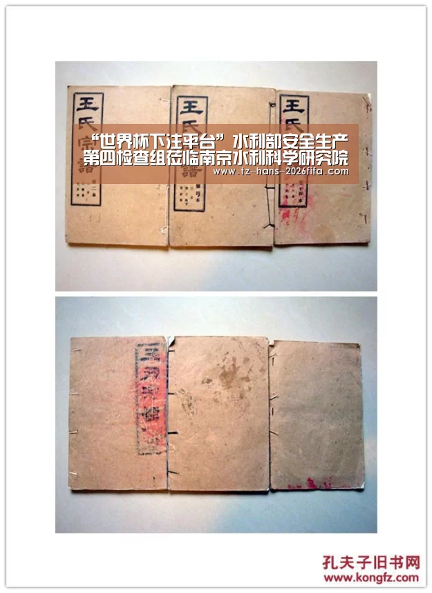 “世界杯下注平台”水利部安全生产第四检查组莅临南京水利科学研究院检查指导(图2) 世界杯投注网