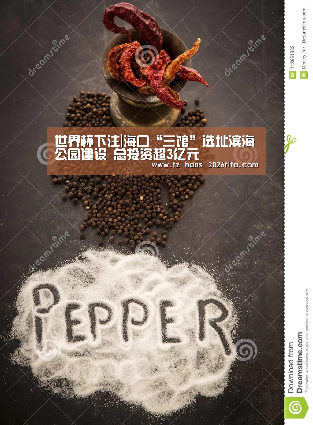 世界杯下注|海口“三馆”选址滨海公园建设 总投资超3亿元(图2) 世界杯下注平台