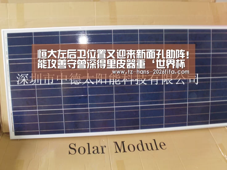 恒大左后卫位置又迎来新面孔助阵!能攻善守曾深得里皮器重‘世界杯下注’(图1) 世界杯下注