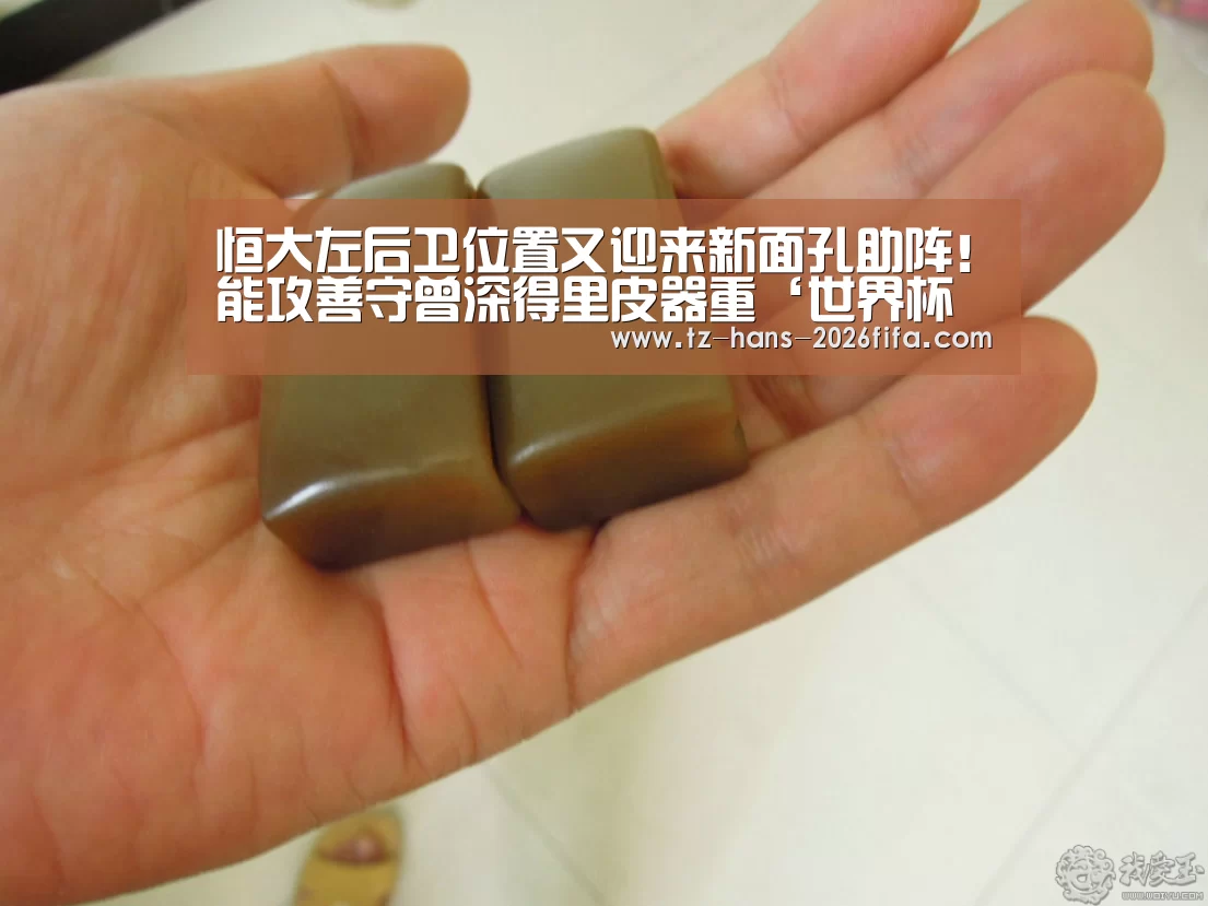 恒大左后卫位置又迎来新面孔助阵!能攻善守曾深得里皮器重‘世界杯下注’(图2) 世界杯投注网