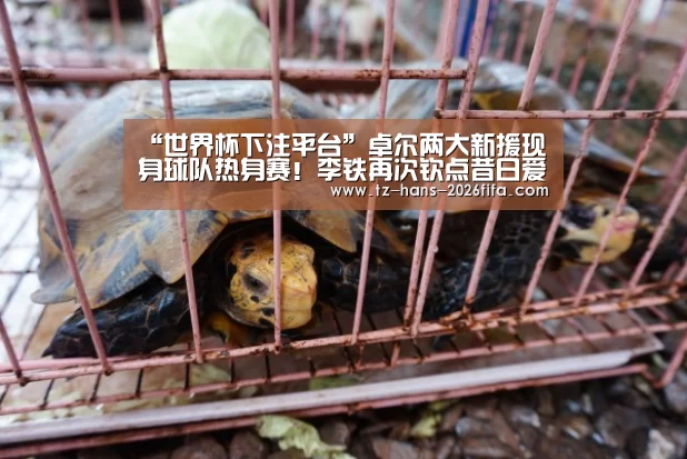 “世界杯下注平台”卓尔两大新援现身球队热身赛!李铁再次钦点昔日爱将加盟助阵(图2) 世界杯下注