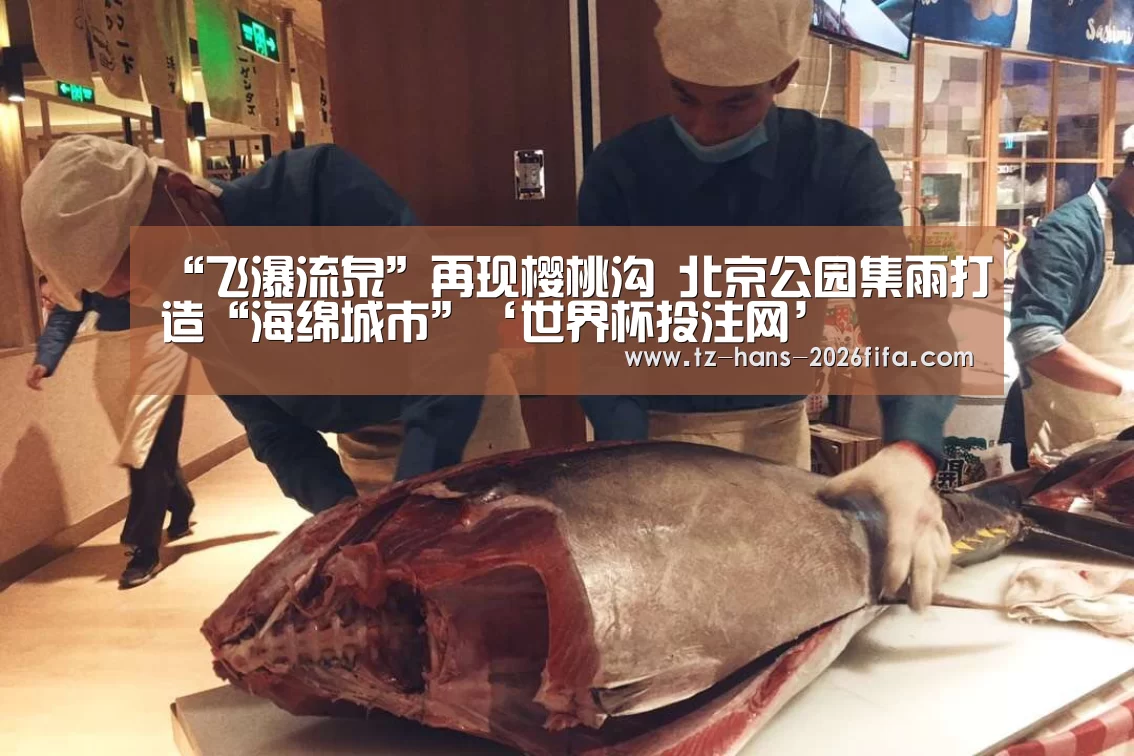 “飞瀑流泉”再现樱桃沟 北京公园集雨打造“海绵城市”‘世界杯投注网’(图2) 世界杯下注